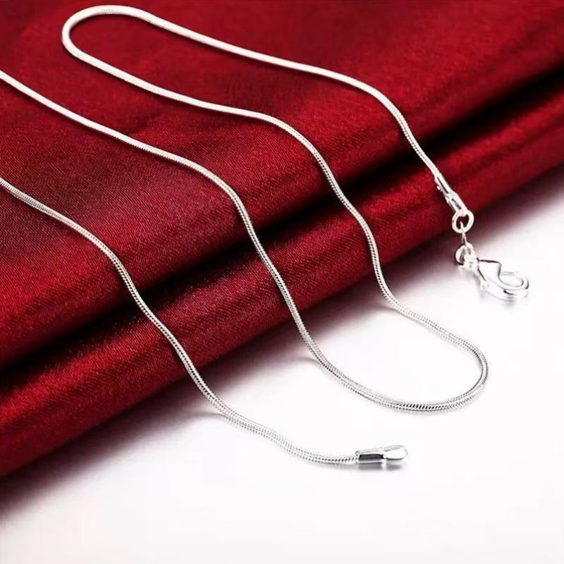 2pcs Anti-Allergy Silver Plated Snake Bone Chain Necklace Set